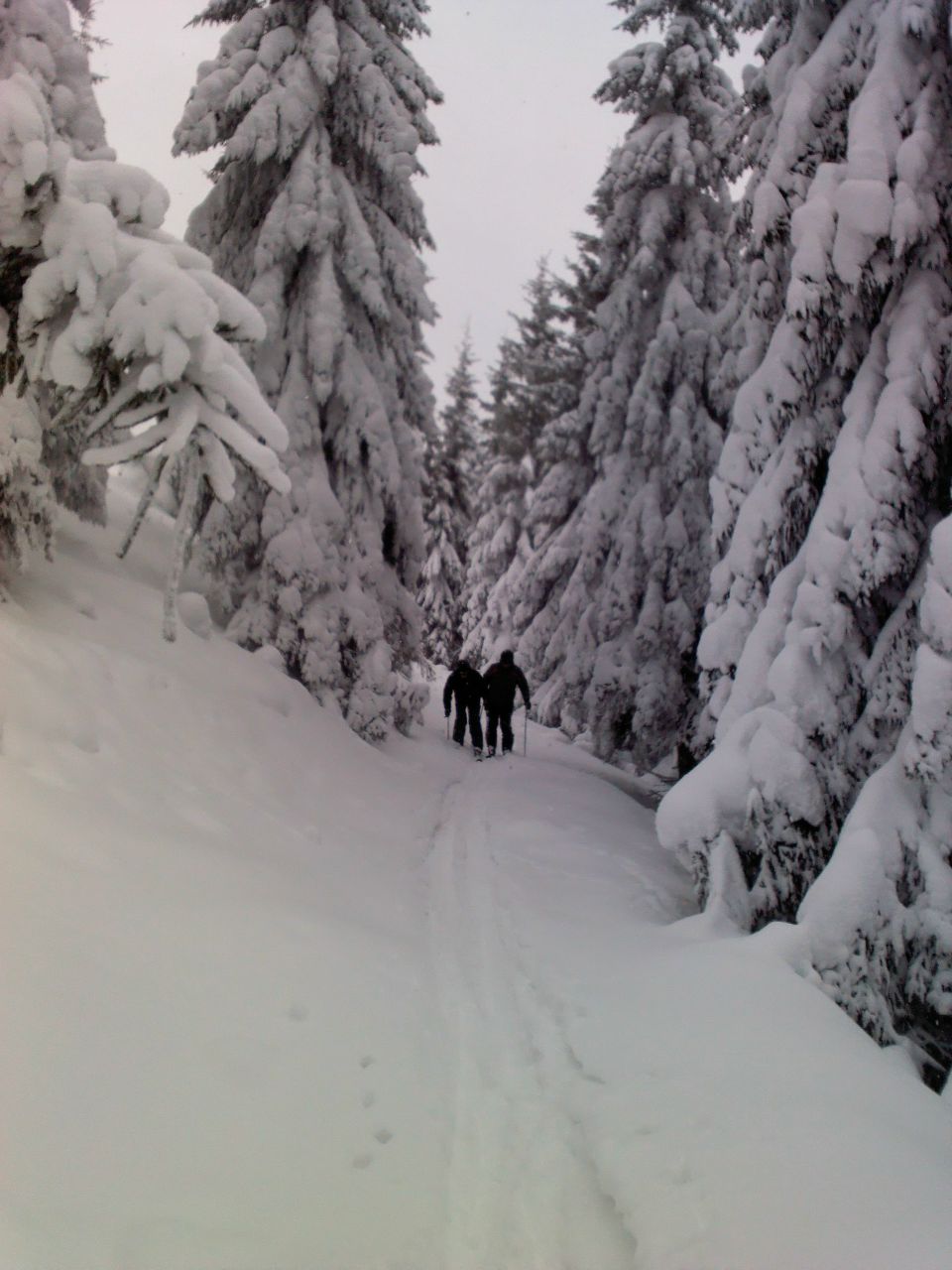 Петя Боронін | Ивано-Франковск