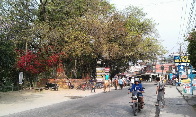 Валерия Ефанова | Москва