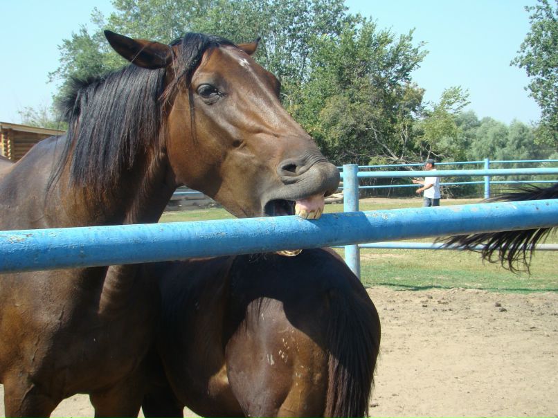 Олеся Арзыбова | Самара