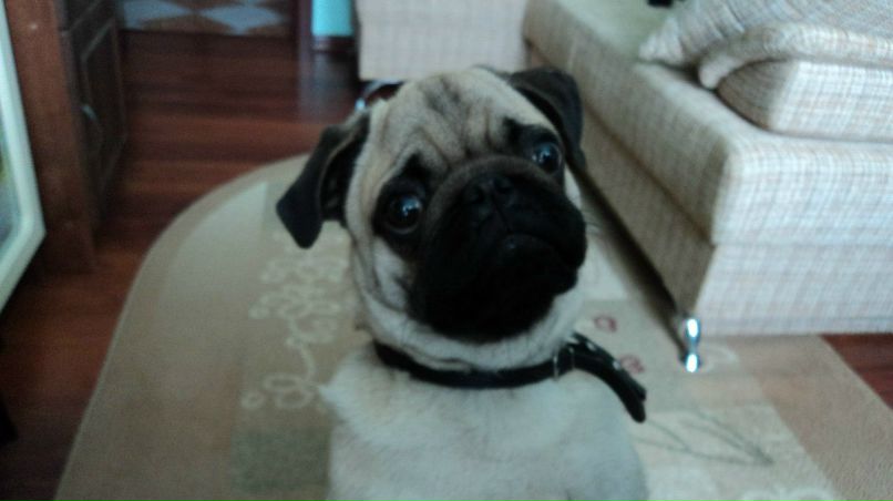 Настюша Калюжная ♡ | Николаев