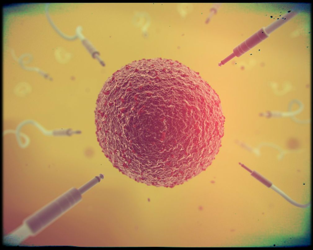 Алексей Евсеенков | Санкт-Петербург