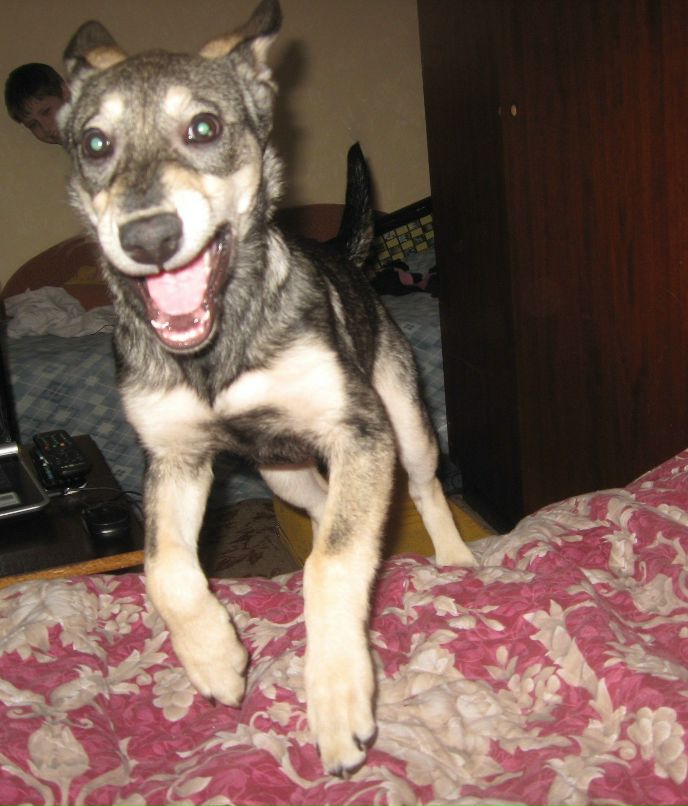 Мария Иванчикова | Москва