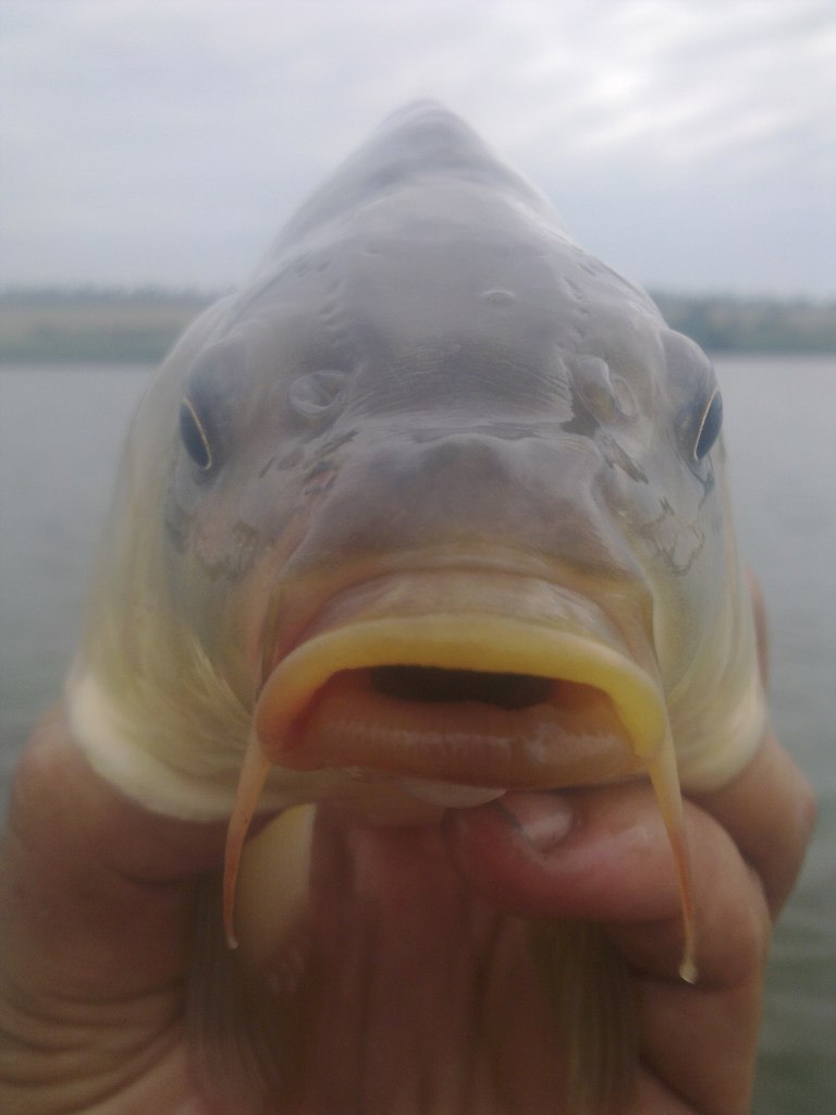 Игорь Кальченко р | Харьков