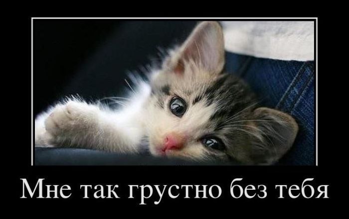 Аня Завьялова | Екатеринбург