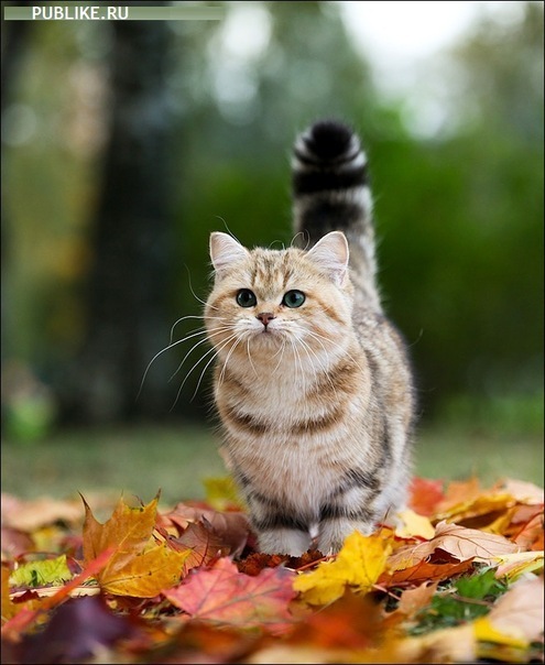 №101, Богдан Слутий, 28 лет, Ровно №101, Богдан Слутий, 28 лет, Ровно