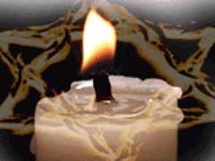 Алёна Бернтал ღСаляღ | Иерусалим