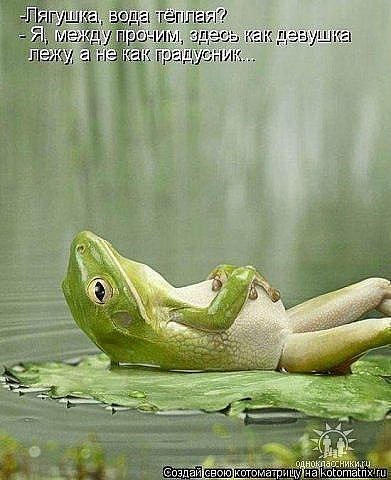 Майя Тихонко | Ржев