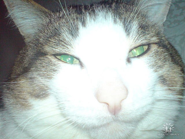 Николай Николаев | Набережные Челны