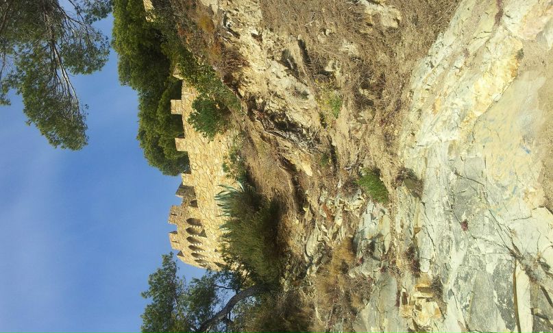 Andrey Пшеничный Viktorovich | Москва