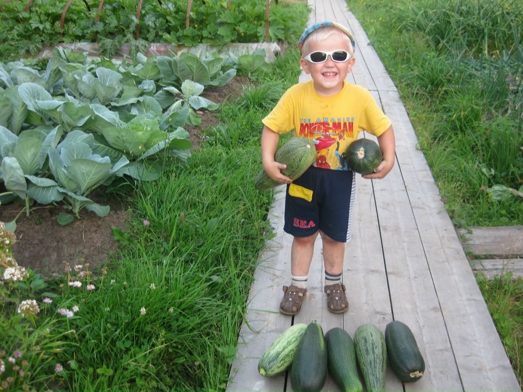 Денис Ананьин | Северодвинск