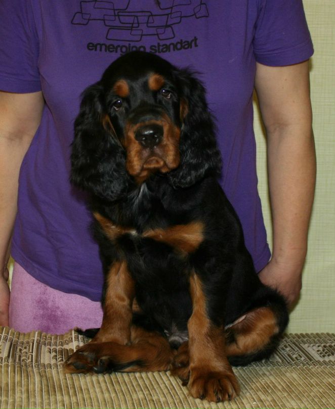 Екатерина Шалыгина | Санкт-Петербург