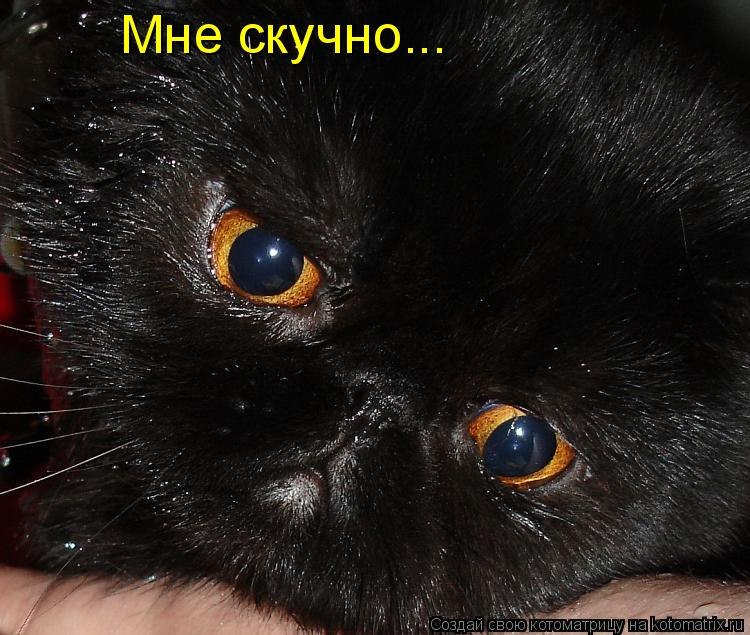 Елена Гартман | Керчь