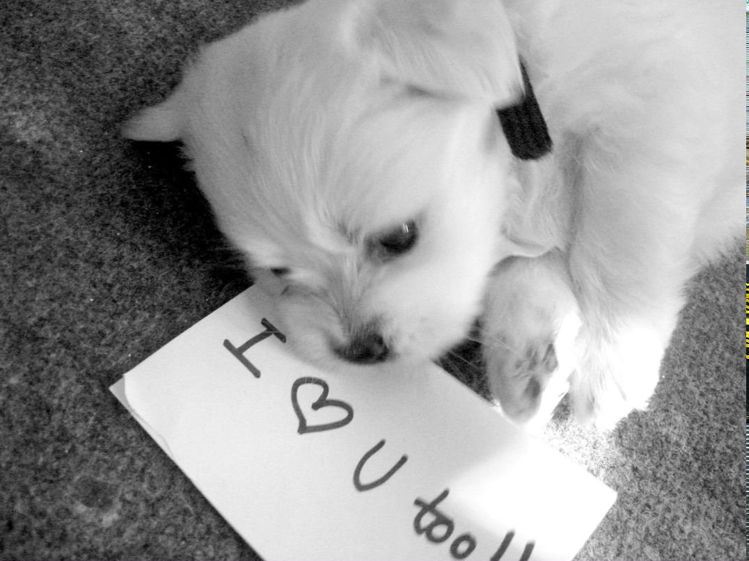 Ольга Белкина | Истра