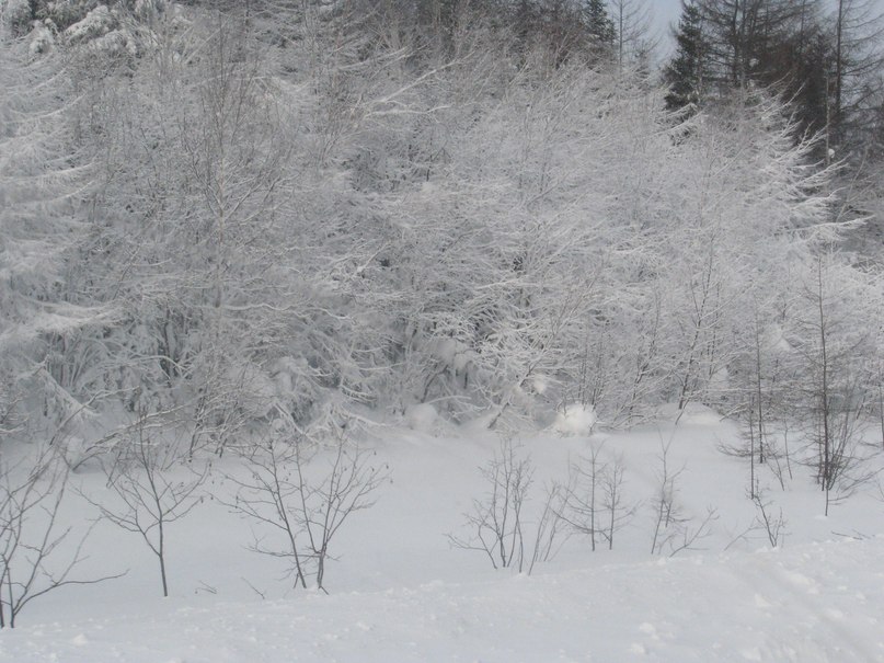 Михаил Ольховский <Burovik> | Южно-Сахалинск