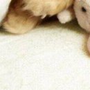 №124, Виталина Мач, Харьков №124, Виталина Мач, Харьков