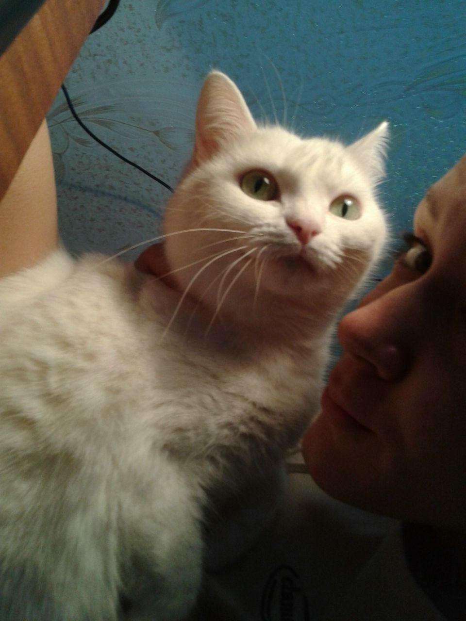 Наталья Соболь | Мариинский