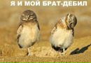 №5 Маша Мозгова 14.01: профиль, фото, статус - ВКонтакте