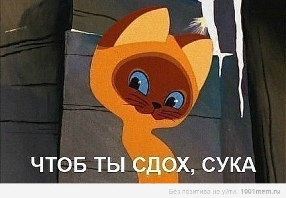 Ксения Симонова | Бузулук