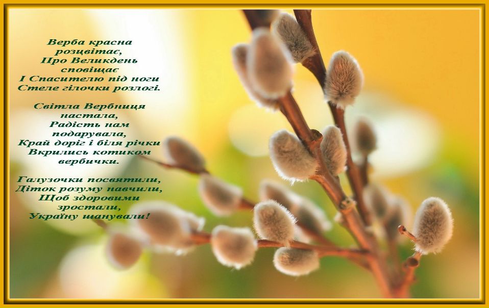 №10, Лєна Лазорко, Микулинцы №10, Лєна Лазорко, Микулинцы