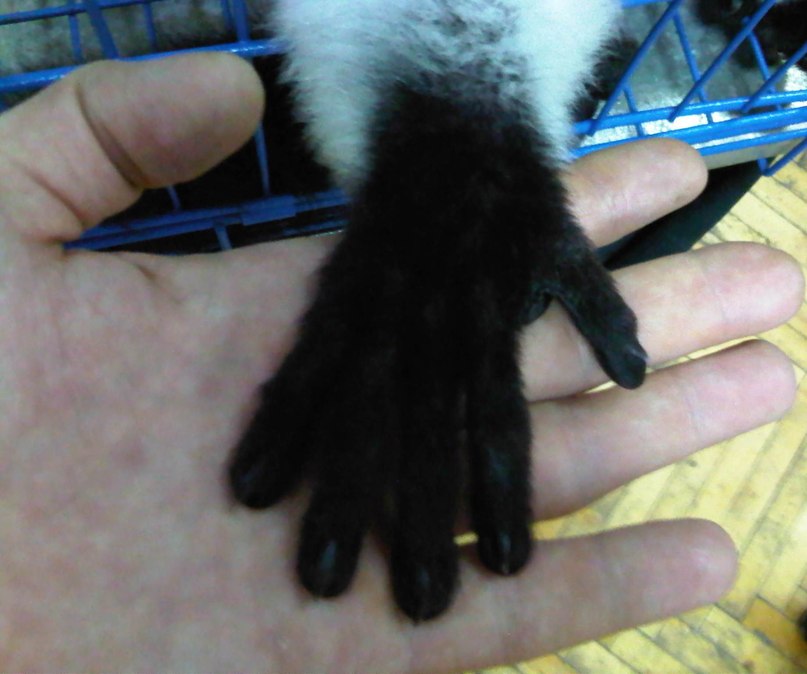 Роман Безбожный | Луганск