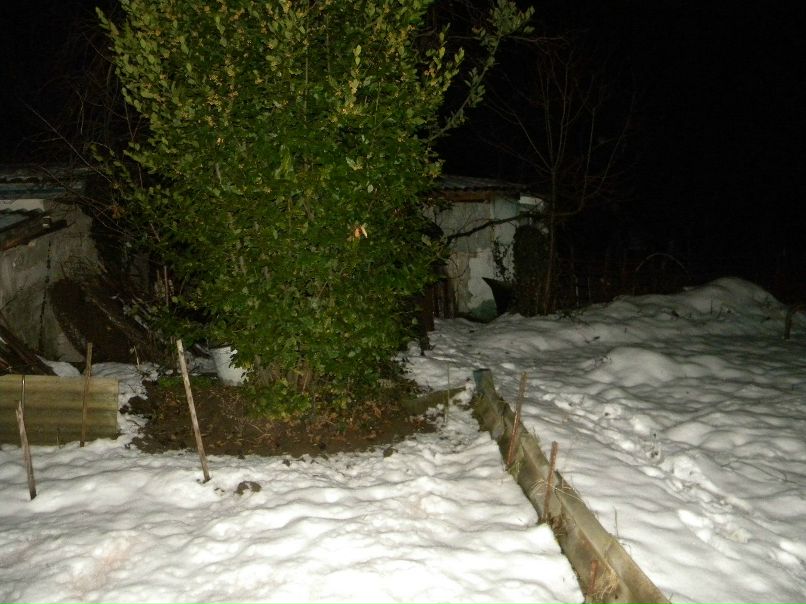 Юлия Харковская | Херсон