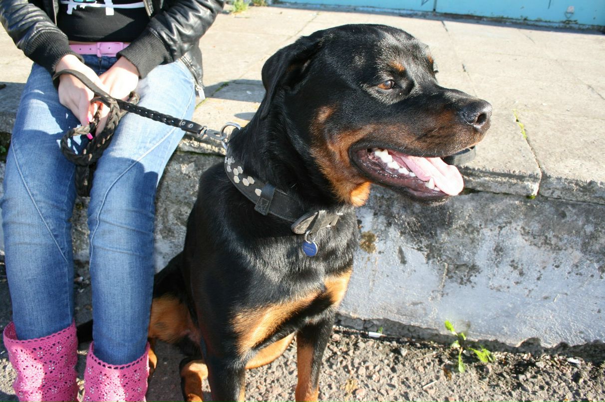 Евгения Маруденко | Таллин