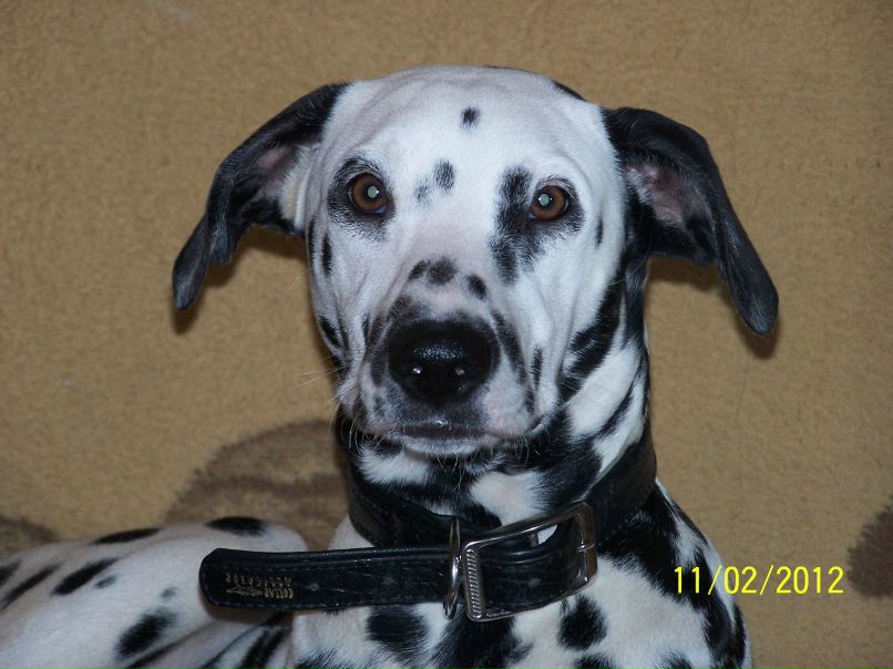 Любовь Бугеда | Одесса