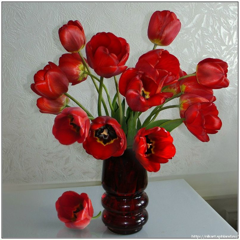 Оксана Реймер -‘๑’- | Троицк