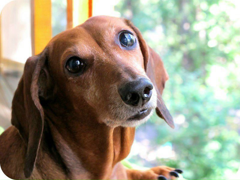 №27, Серёга Лапчатый, 35 лет, Усолье-Сибирское №27, Серёга Лапчатый, 35 лет, Усолье-Сибирское