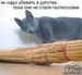 Егор Климочкин фотография #30