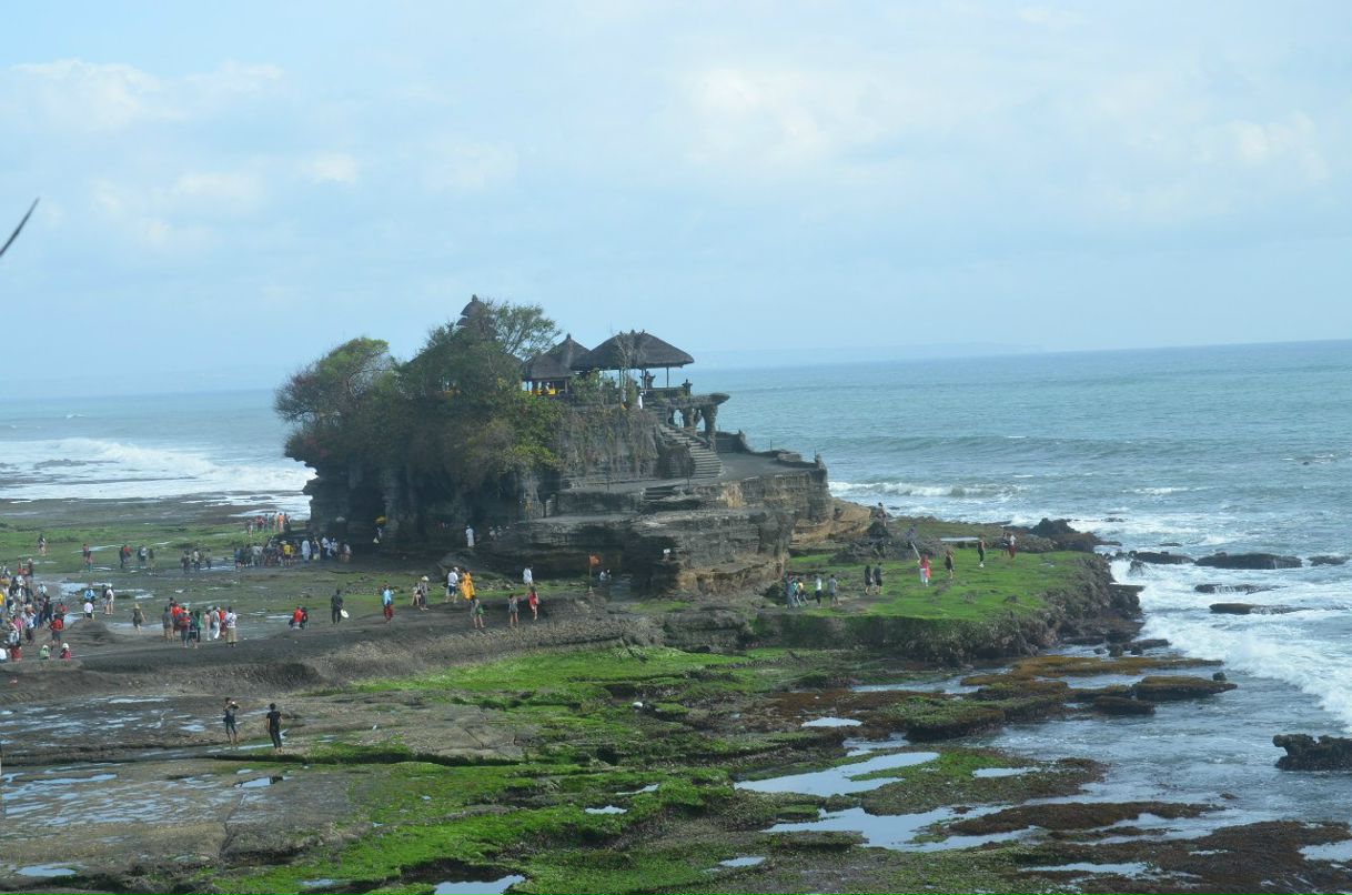 Сергей Авдеев | Сергиев Посад