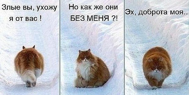 Юлія Волинчук | Житомир