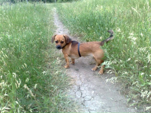 №22, София Доний №22, София Доний