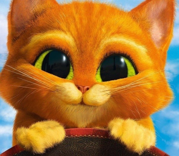 Мария Семиколенова | Курск