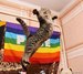 Татьяна Писаченко фотография #22
