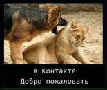 №29 Лиана Шафикова 10.04: профиль, фото, статус - ВКонтакте