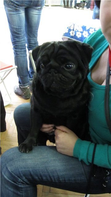 Юлия Хороших | Екатеринбург