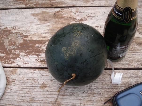 №7, Александр Литвинчев №7, Александр Литвинчев