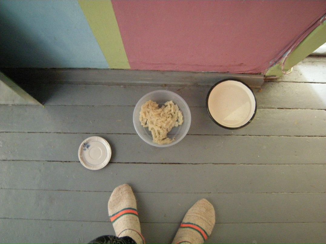 Анна Полын | Минск