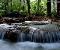 Сергей Раловец | Житомир