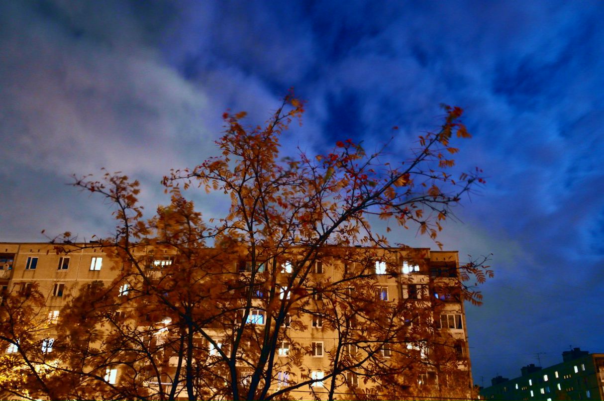 Андрей Лёвушкин | Санкт-Петербург