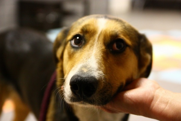 №155, Наталья Полева, Санкт-Петербург №155, Наталья Полева, Санкт-Петербург