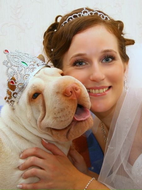 №20, Светлана Жакова, Нижний Новгород №20, Светлана Жакова, Нижний Новгород