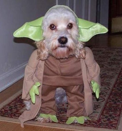 Михаил Шостак ********* | Симферополь