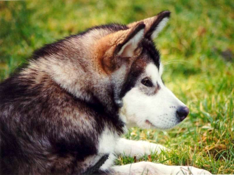 Любомир Наритник | Ужгород