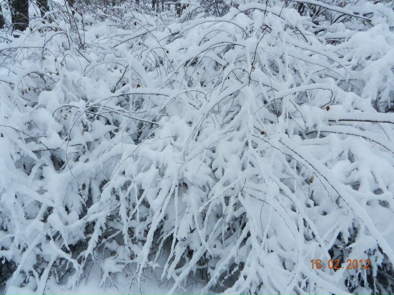 Юрий Малина | Луганск