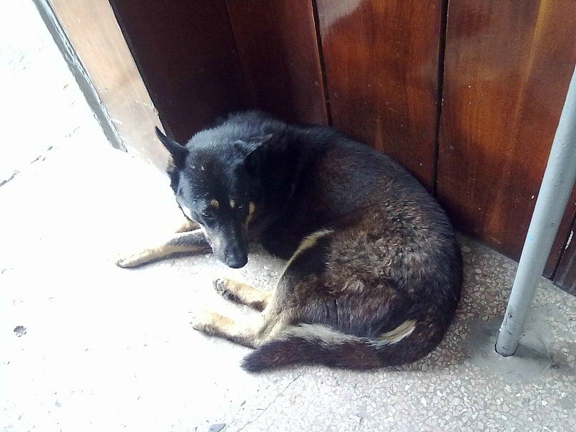 Даниил Подоляк Вадимович | Киев