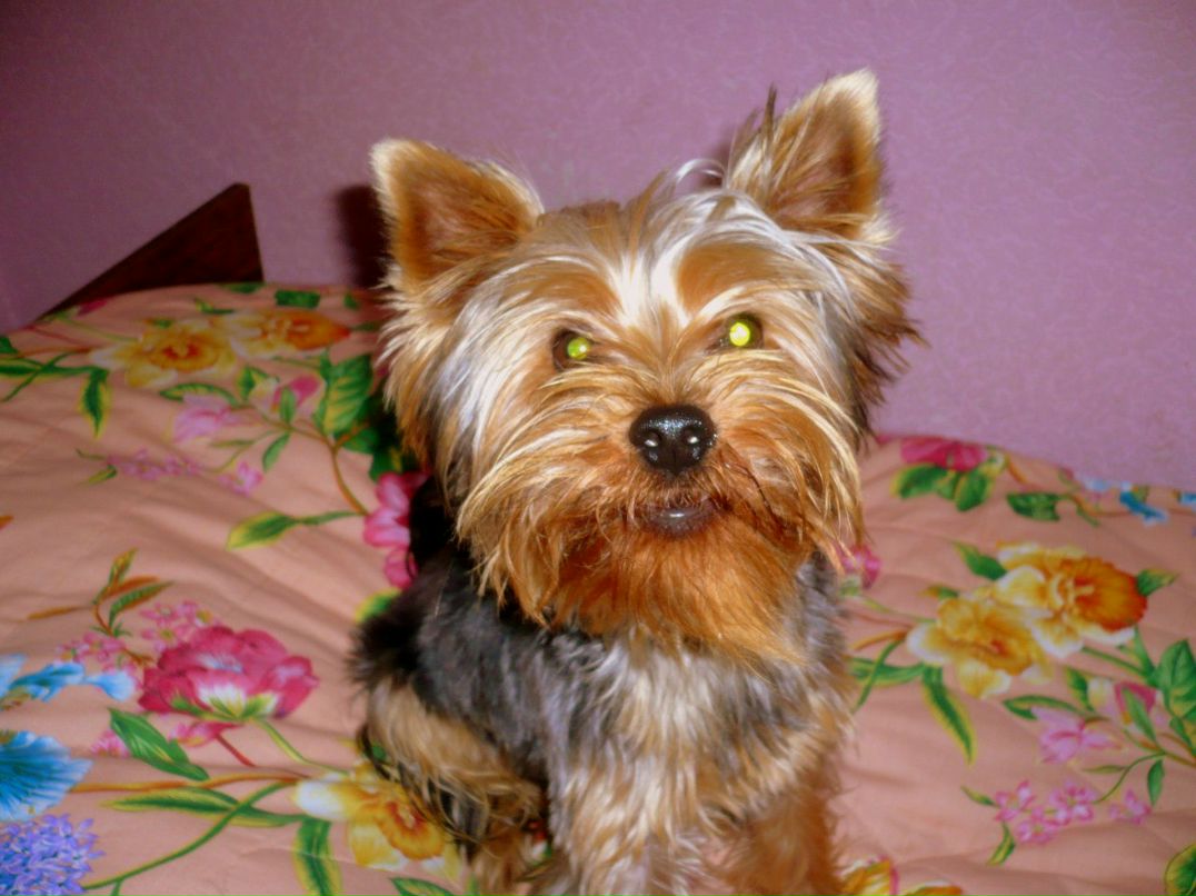 Нина Вискушенко | Москва