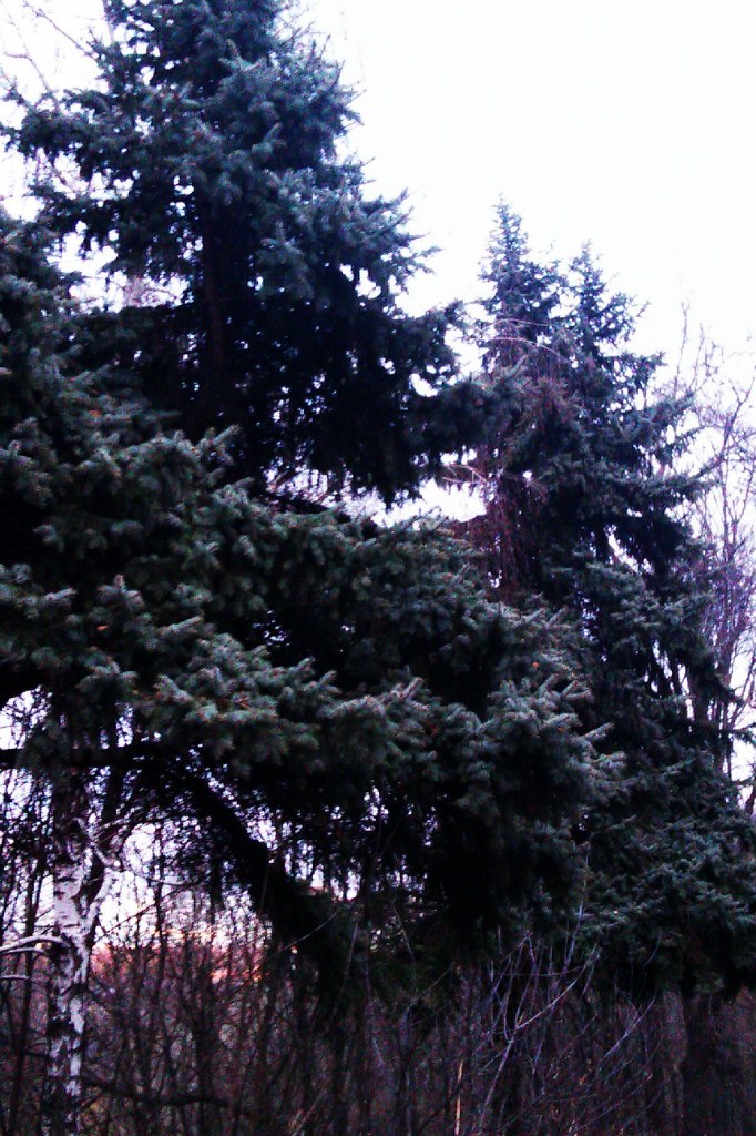 Виталий Липаткин | Красноперекопск