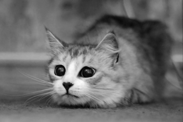 Катарина Скляренко May | Днепр (Днепропетровск)